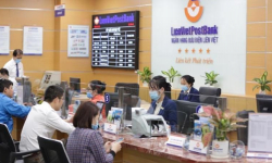 Cổ phiếu ngân hàng: Thiệt hại nặng ở Á Âu, VPBank, LPB “vượt bão” cùng thị trường Mỹ