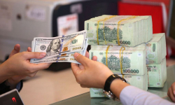 FED tăng lãi suất: Tỷ giá USD/VND loạn xu hướng