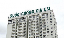 Lợi nhuận lao dốc 93%, cổ phiếu Quốc Cường Gia Lai (QCG) vẫn tăng trần 5 phiên liền