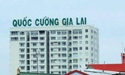 Lợi nhuận giảm 93%, đến năm 2025 Quốc Cường Gia Lai (QCG) mới trả cổ tức năm 2021