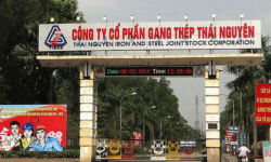 Mỗi ngày Gang thép Thái Nguyên (TIS) đang phải gồng lỗ hơn 1 tỷ đồng