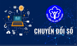 Chuyển đổi số toàn diện, nâng cao chất lượng phục vụ người tham gia chính sách BHXH, BHYT, BHTN