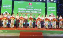 Hà Nội: Giới thiệu 'đặc sản' trái cây, nông sản các địa phương 2024