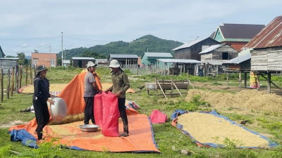 Gia Lai: Giải quyết tình trạng thiếu đất ở, đất sản xuất cho vùng đồng bào dân tộc ít người