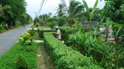 Hiệu quả từ chương trình phát triển kinh tế - xã hội vùng đồng bào dân tộc thiểu số tại xã An Hiệp