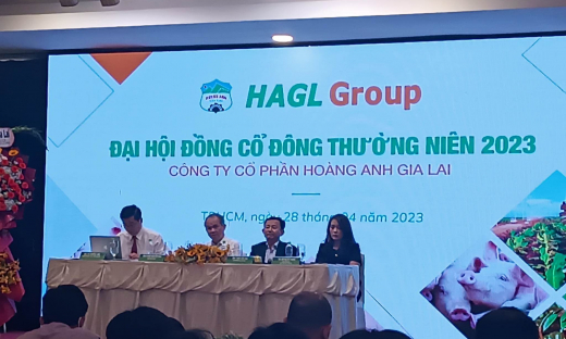 Hoàng Anh Gia Lai (HAG) suýt không tổ chức được ĐHĐCĐ, kế hoạch lợi nhuận đi ngang, không chia cổ tức