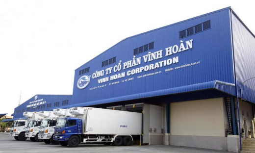 Trượt dài 5 tháng đầu năm, đầu tư chứng khoán lỗ 84 tỷ, Vĩnh Hoàn (VHC) vẫn rót 180 tỷ cho công ty con